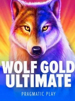 Wolf Gold Ultimate at Hopa